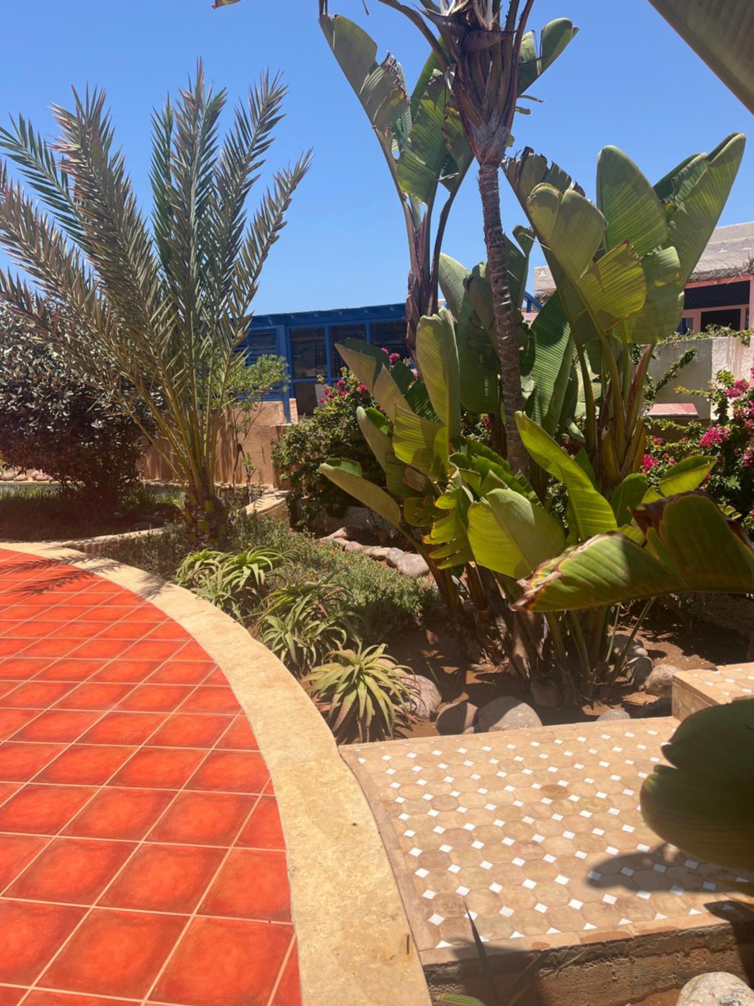 فندق Mimid Dunes Beach ميرلفت المظهر الخارجي الصورة