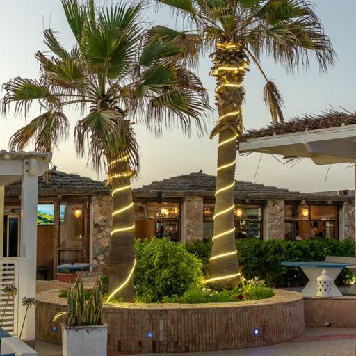 فندق Mimid Dunes Beach ميرلفت المظهر الخارجي الصورة